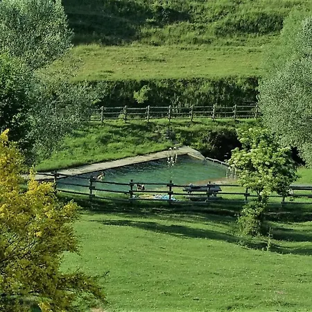 El Pinar * Acebedo