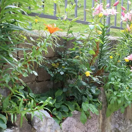 Casa de Campo El Pinar Acebedo