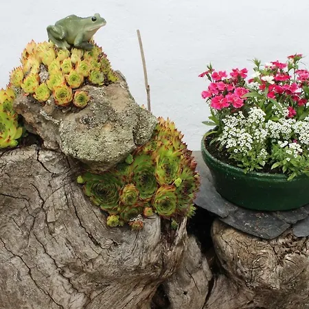 El Pinar Casa de Campo