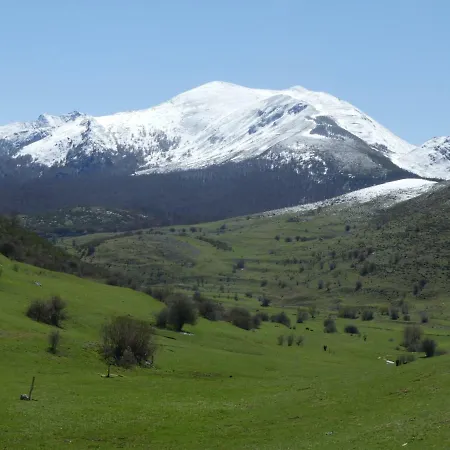 El Pinar *