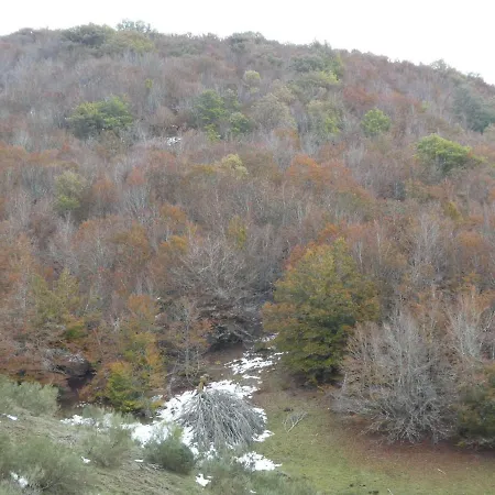 El Pinar *