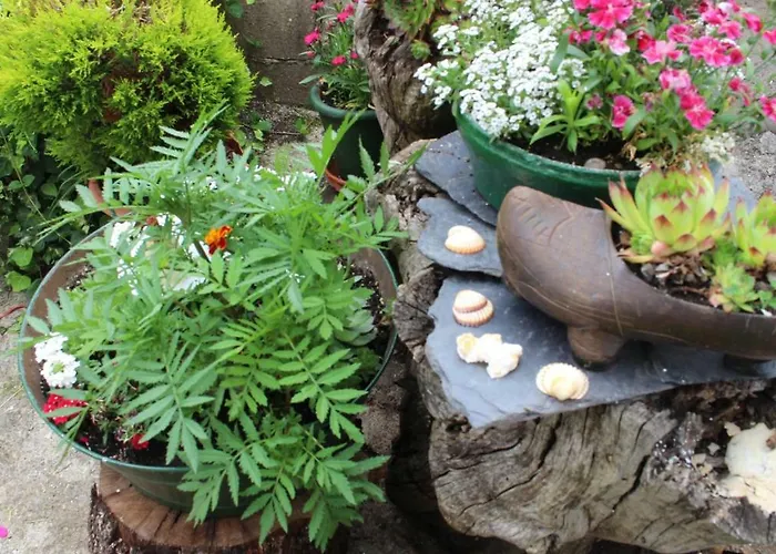 El Pinar Gospodarstwo wiejskie Acebedo