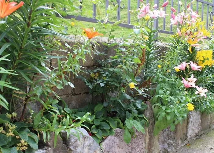 Gospodarstwo wiejskie El Pinar Acebedo