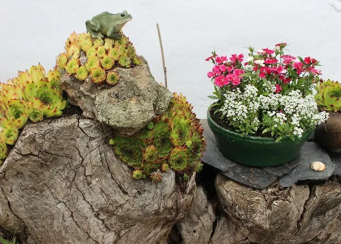 El Pinar Gospodarstwo wiejskie