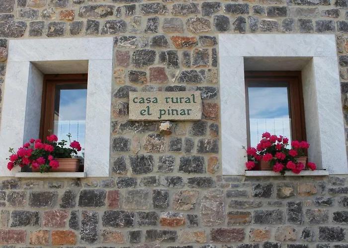 Gospodarstwo wiejskie El Pinar Acebedo